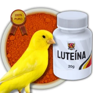 Luteina 20g Canarios Amarelos - Pigmento - Importada - Concentrada - Canários s/Fator