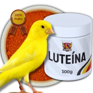 Luteina 100g Canarios Amarelos - Pigmento - Importada - Concentrada - Canários s/Fator