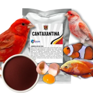 Cantaxantina Vermelha para Canarios (DSM) Francesa Antiga Roche Carophyll Red Original