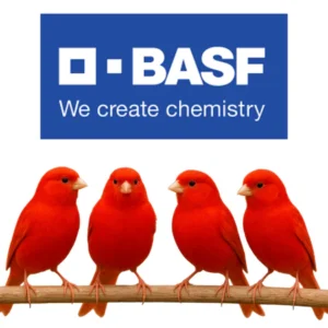 Cantaxantina BASF Importada Original 100% Pura Vermelha